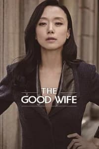 The Good Wife (2016) - Series