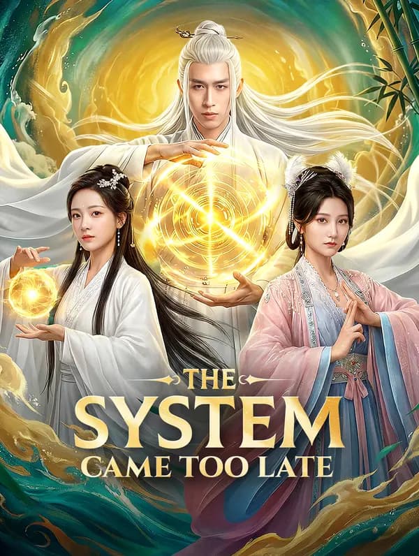 The System Came Too Late(Dubbed)
