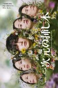 Labyrinth of Hortensia and the Minotaur