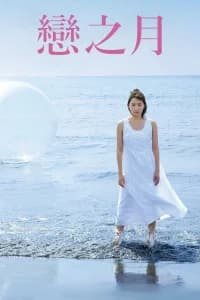 Love and Fortune Poster