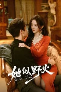 She's Wild Fire Poster