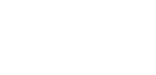 Bet