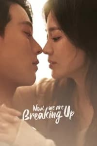 Now, We Are Breaking Up (Jigeum, Heeojineun Jungibnida)