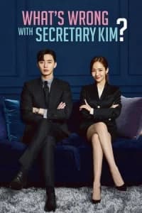 What's Wrong with Secretary Kim (Kimbiseoga wae geureolkka)