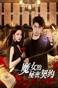 The Secret Contract of the Witch